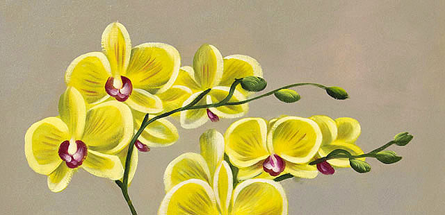 0B 《高贵兰花》 当代油画家 王露露 花卉写实油画